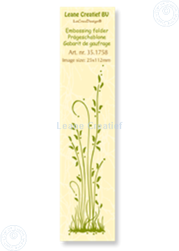 Picture of Border grass long