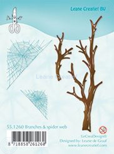 Image sur Branches & spider web